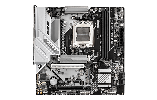 Z590
